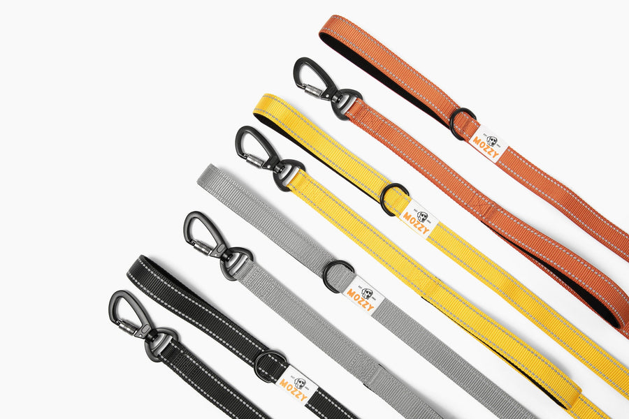 The Mozzy Walk Kit