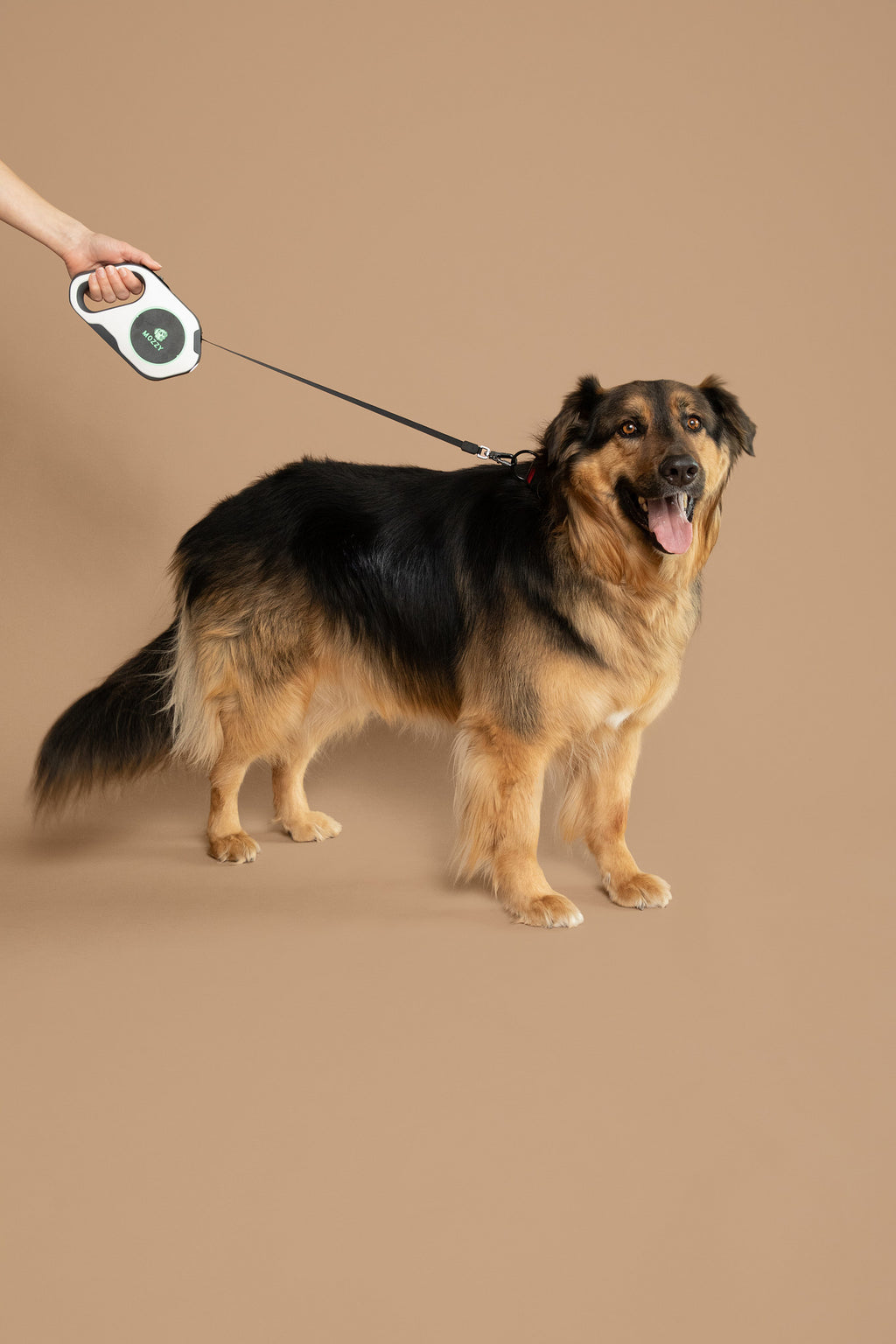 Mozzy Nylon Leash
