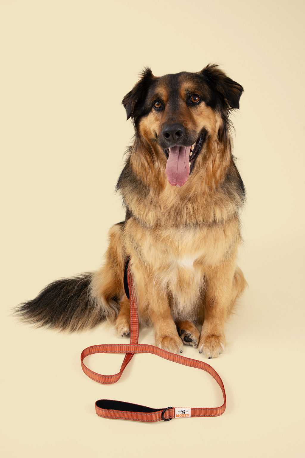 Mozzy Leash