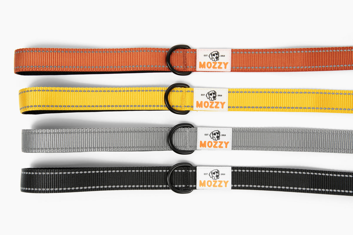 Mozzy Leash